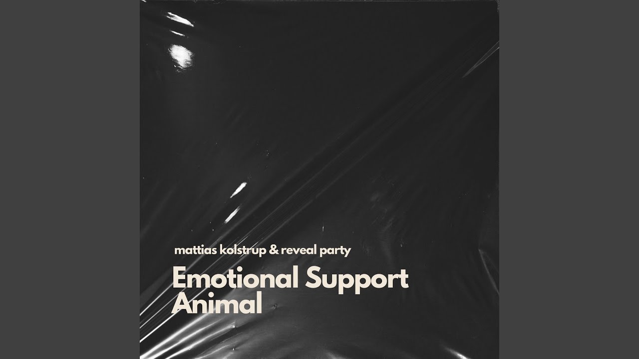 Emotional Support Animal