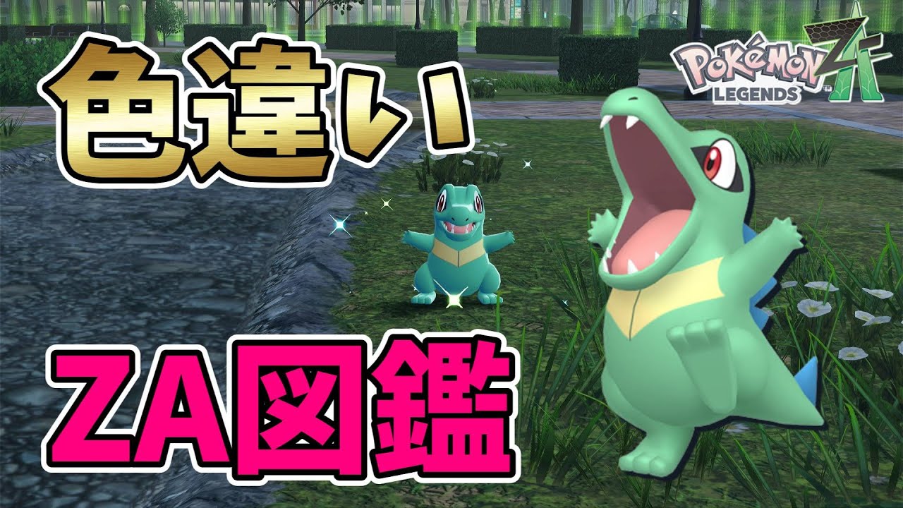 【ポケモンレジェンズZA】色違いワニノコ・アリゲイツ・オーダイル！色違い図鑑作成開始【Pokémon LEGENDS Z-A】