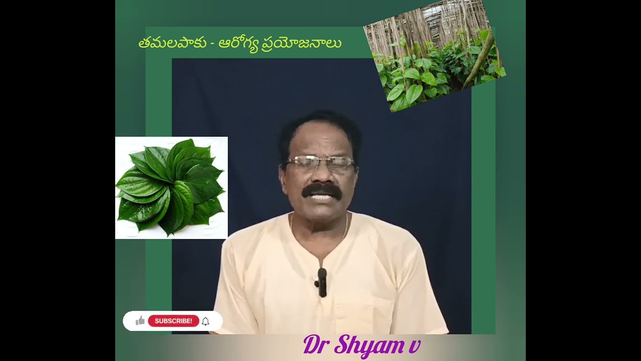 #తమలపాకు ఆరోగ్య ప్రయోజనాలు#health# health tip #betel leaf health benefits 