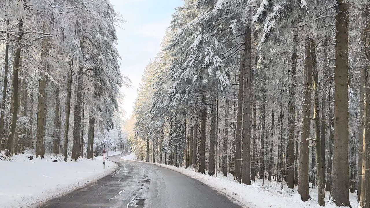 Mit dem Auto von ❤️Freiburg auf den 1241 Meter hohen Kandel 🌲Schwarzwald🇩🇪Deutschland