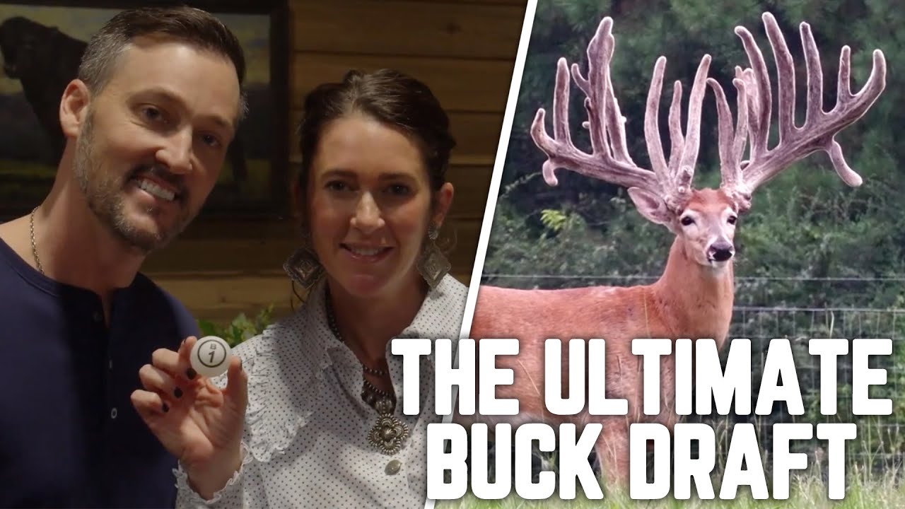 The BEST DEER SALE in the Industry | High Roller Draft 2023