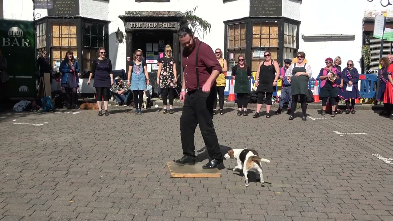 A member of Rivelin Clog and a dog at Bromyard Folk Festival.