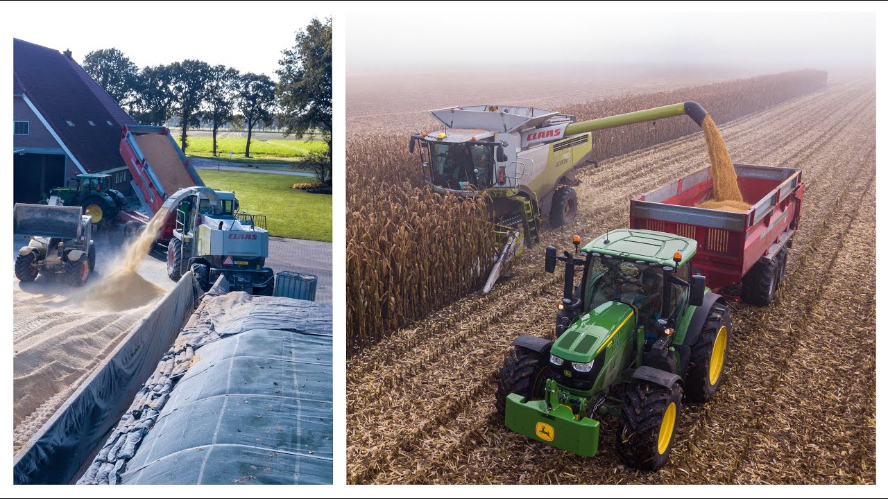 Korrelmais vermalen tot Kippenvoer bij Vof Bouwhuis 2022 met Claas Lexion 750 TT en Claas Jaguar 850
