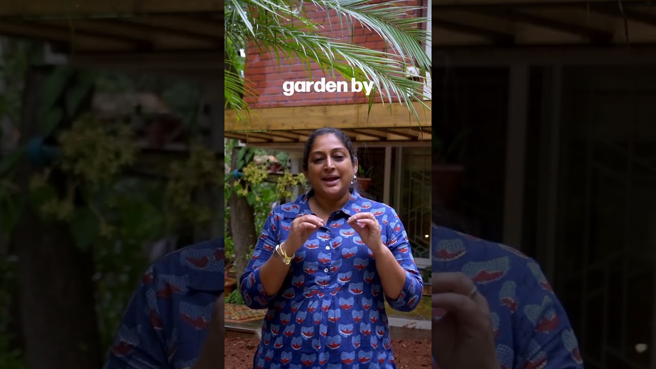 How to Attract Butterflies & Bees to Your Garden Naturally