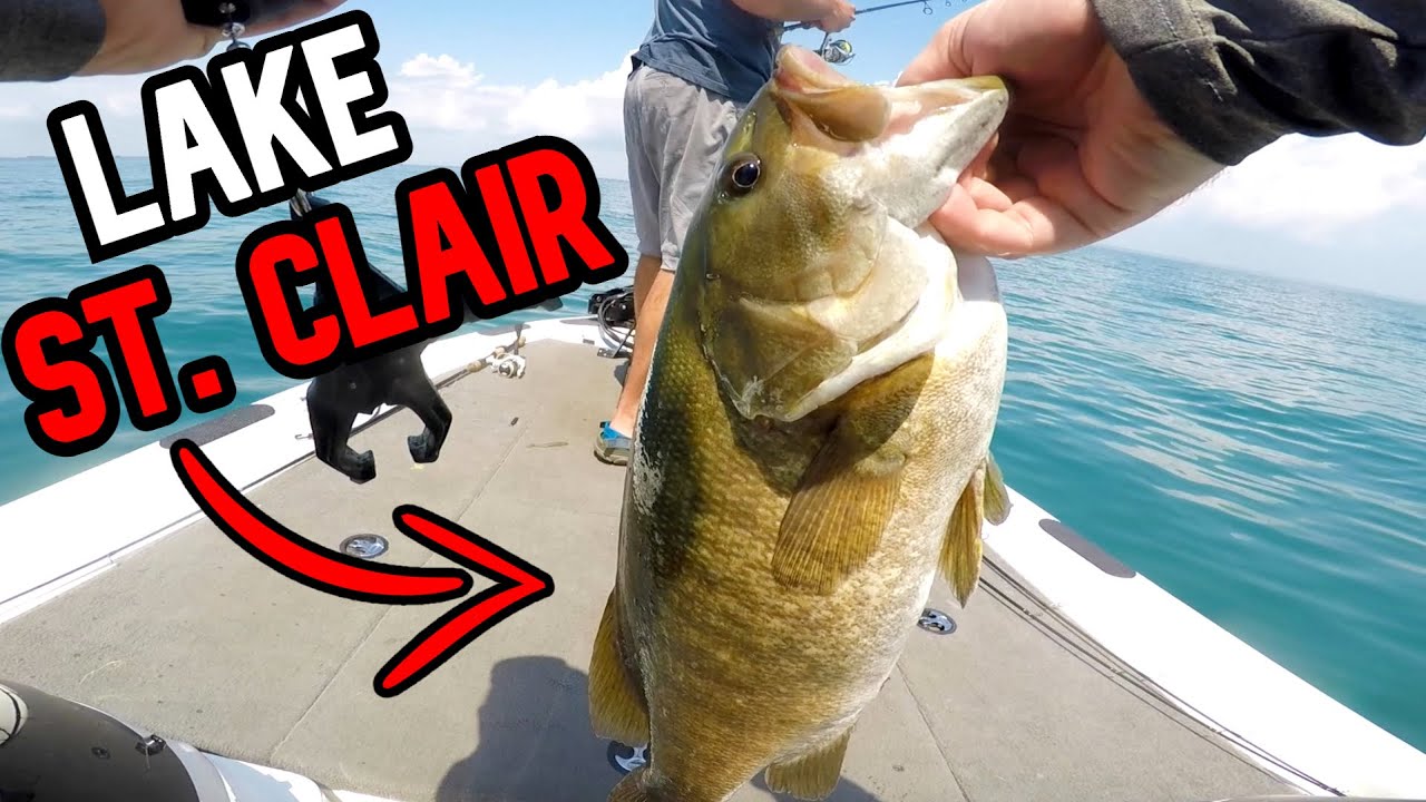 Lake St Clair Summer Smallmouth Fishing SMASH FEST!