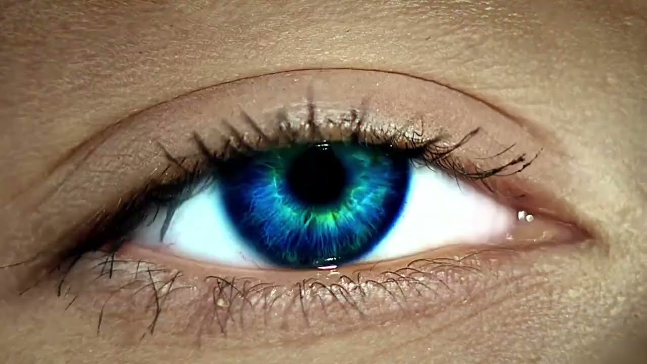 Synergtische Prozesslösung und prozessorientieres Maschinendesign. Image-Video zur EMO 2023