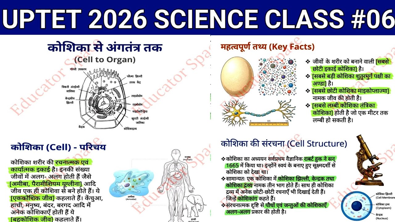 || Up tet 2026 Science class #06 || #uptetscienceclasses #uptetscience