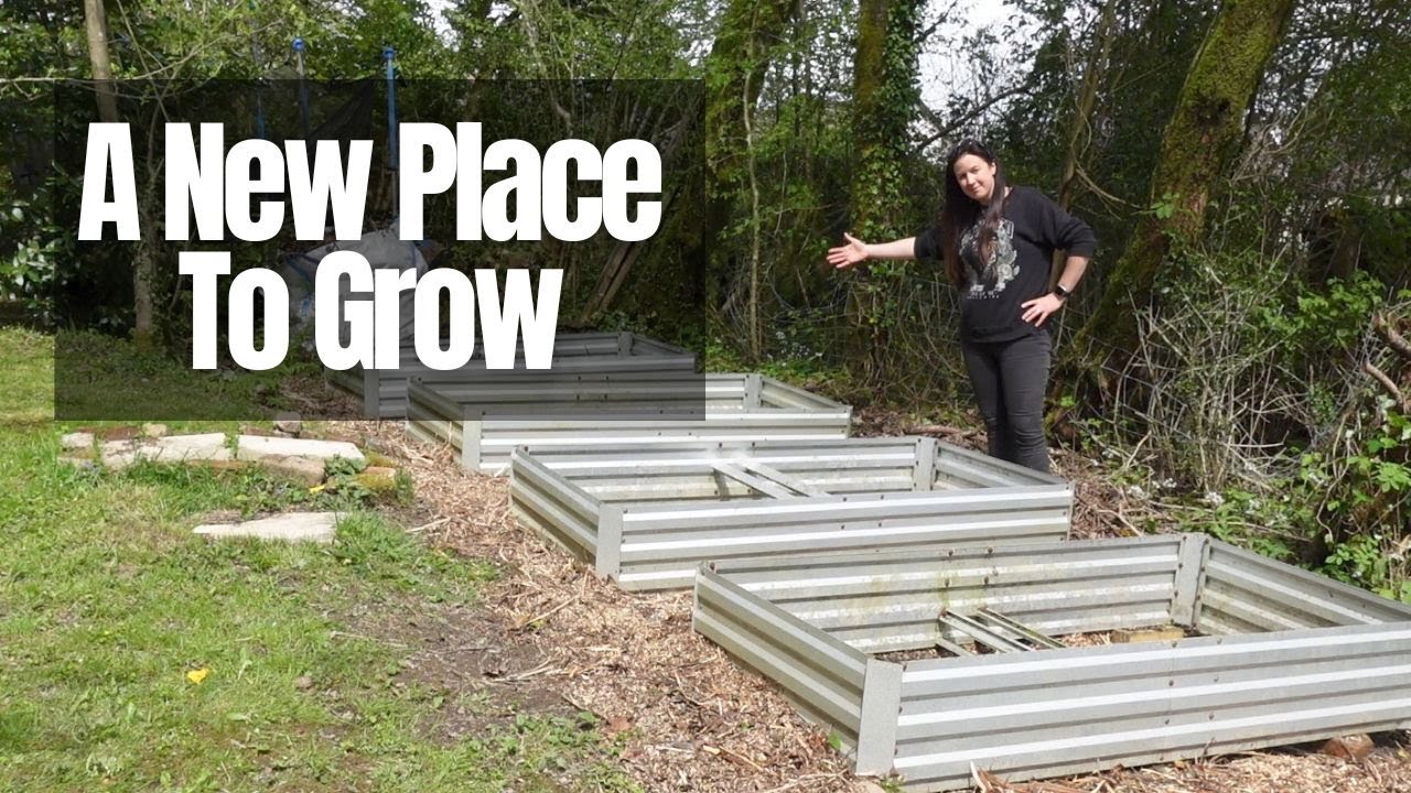 Expanding My Home Vegetable Allotment Garden | No DIg Metal Raised Beds