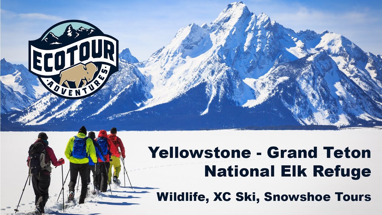 Winter Cross Country Skiing, Snowshoeing and Wildlife Tours in Grand Teton National Park Promo
