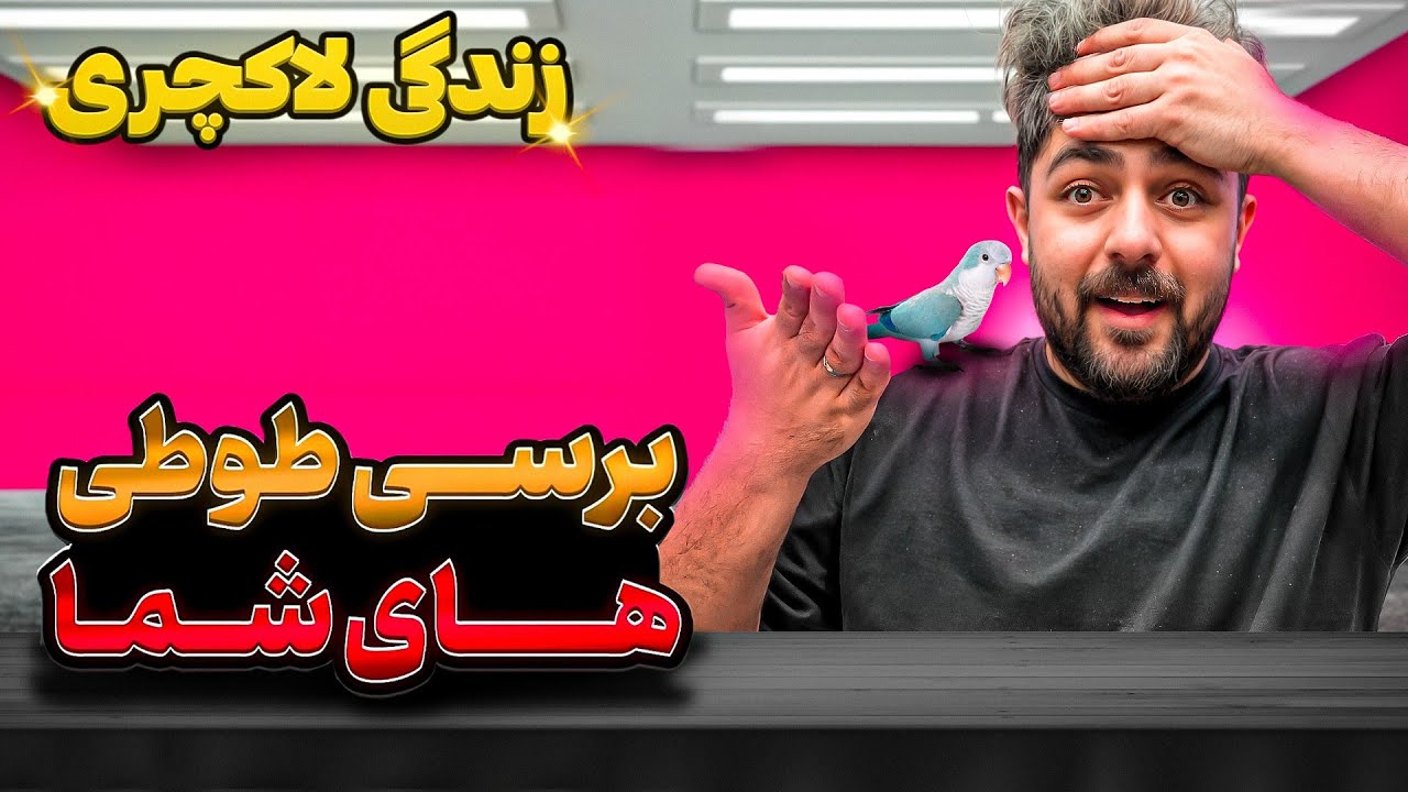 برسی طوطی های شما || زندگی لاکچری این گرینچیک