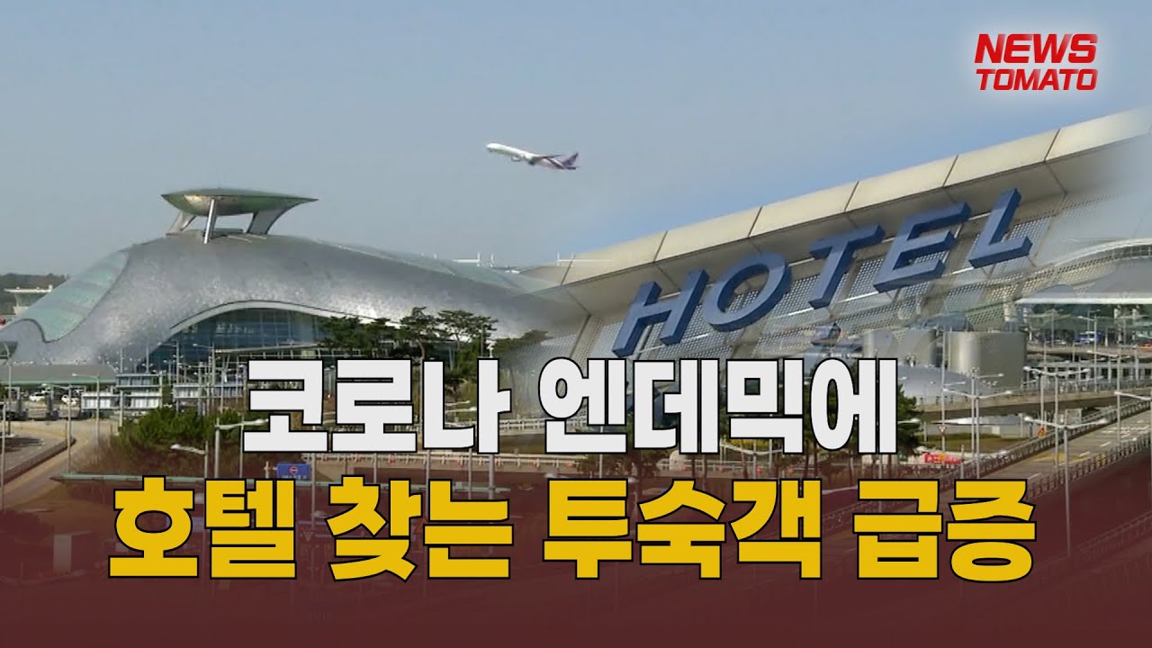 엔데믹에 호텔 찾는 투숙객 급증 [말하는 기자들_유통_0302]