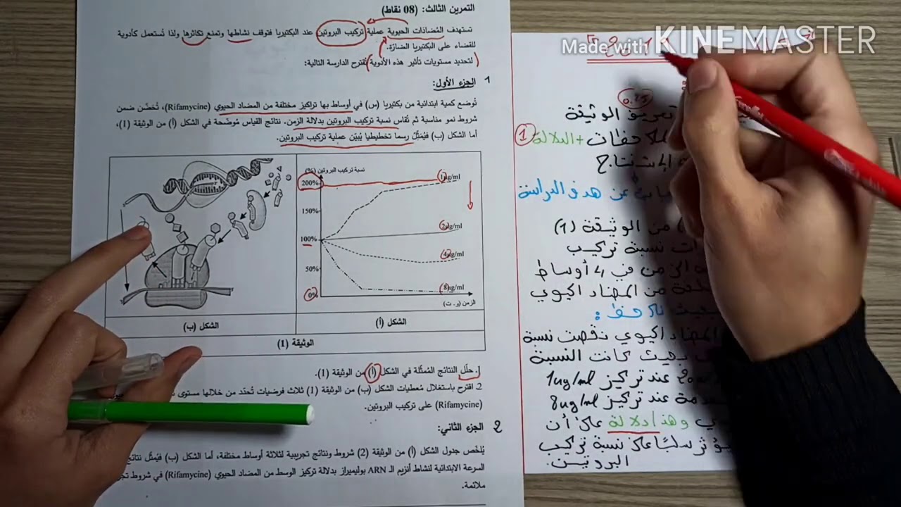 #التمرين الأول لتعلم المنهجية : بكالوريا 2019 ( الوحدة الأولى تركيب البروتين )