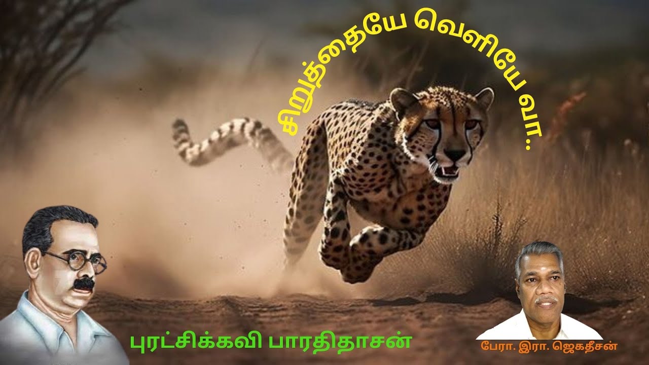 சிறுத்தையே வெளியே வா!  - பாரதிதாசன் கவிதை  - தமிழுறவு