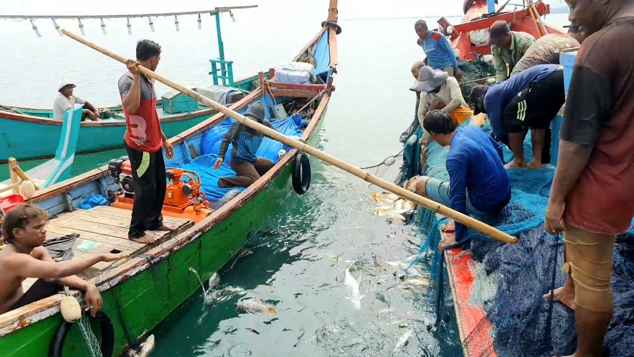Gak Nyangka Hasilnya bisa  Sebanyak ini, Pasang Pukat Dari Awal Hingga Selesai