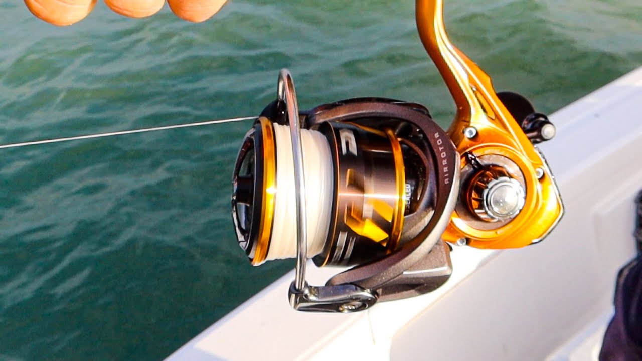My Reel is On FIRE