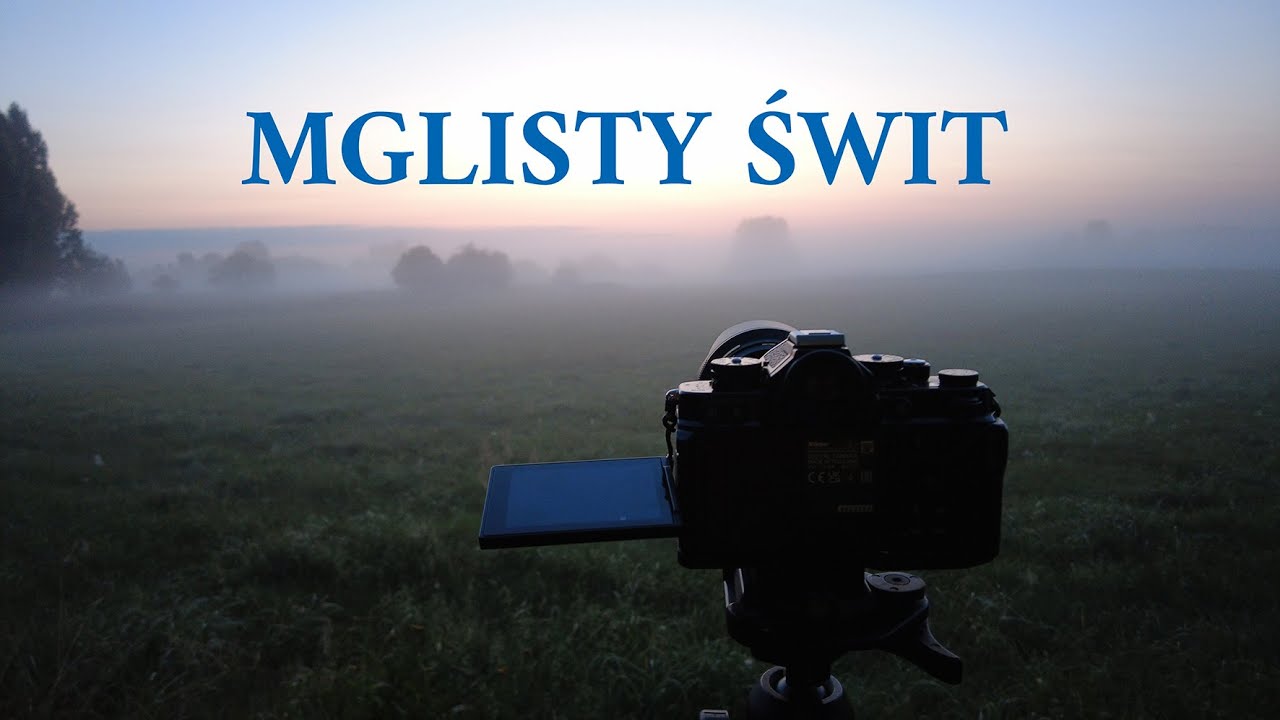 MGLISTY ŚWIT