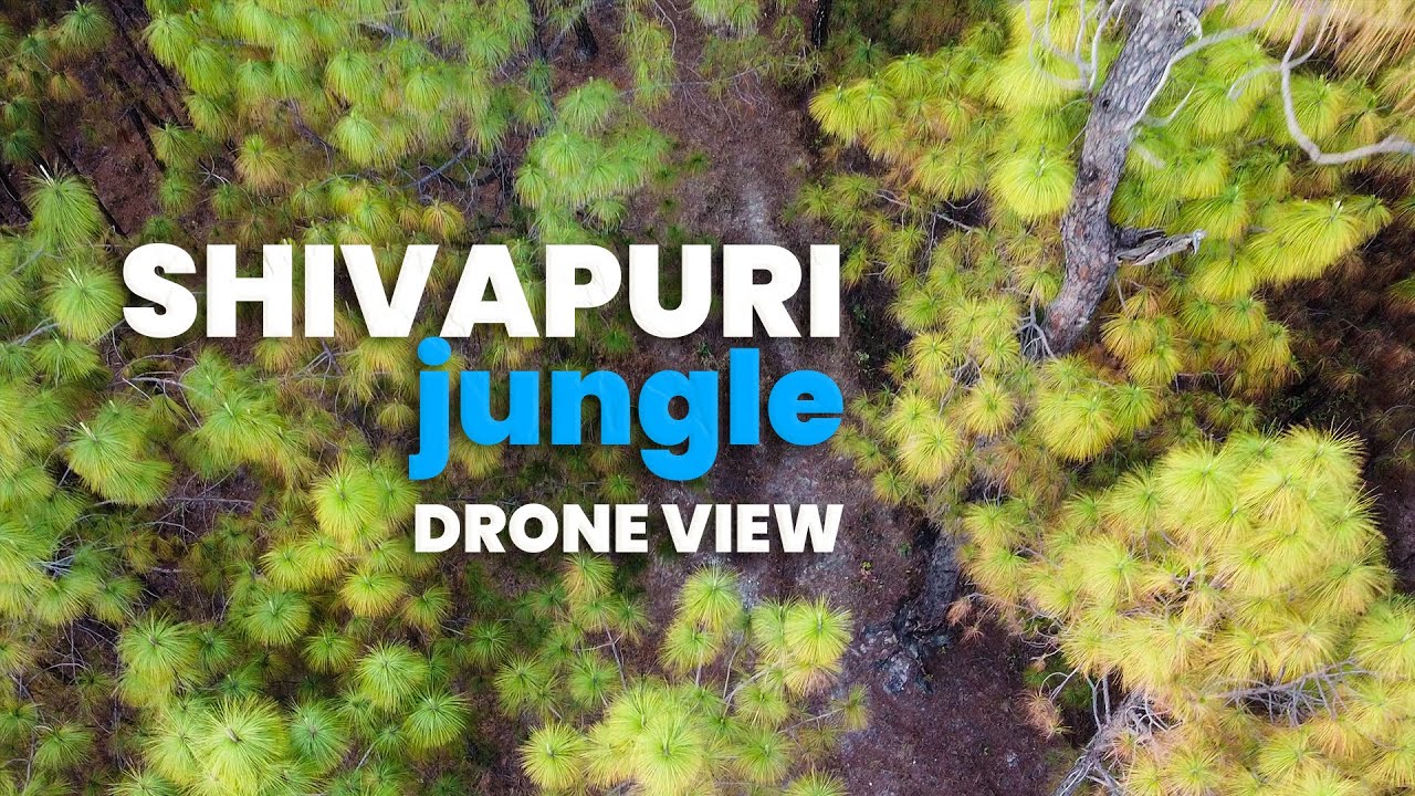 Shivapuri Jungle Drone View &bull; शिवपुरी &bull; Ghumaide