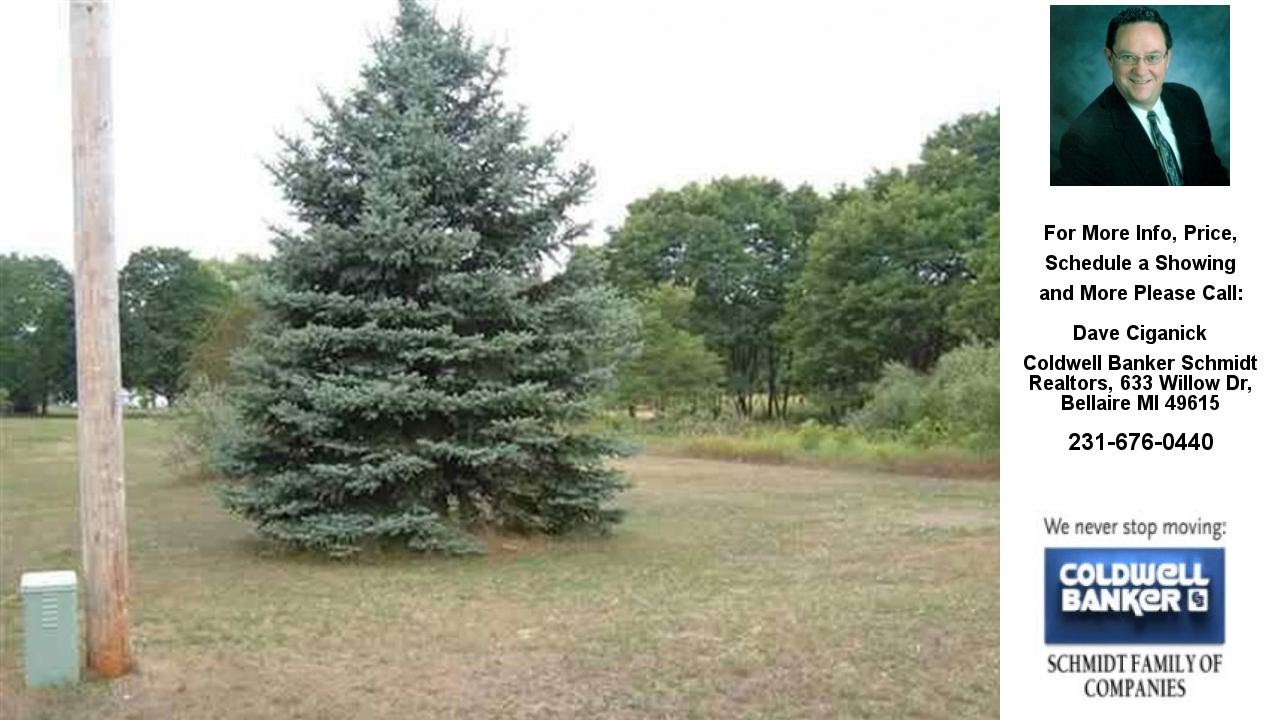 Division Street, Bellaire, MI Presented by Dave Ciganick.