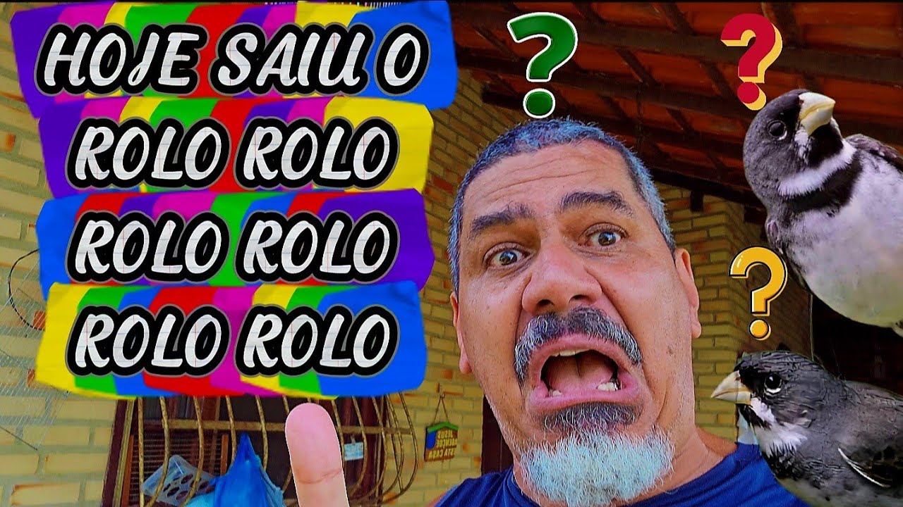 O CRIATÓRIO DE JAILSON ESTÁ EVOLUINDO