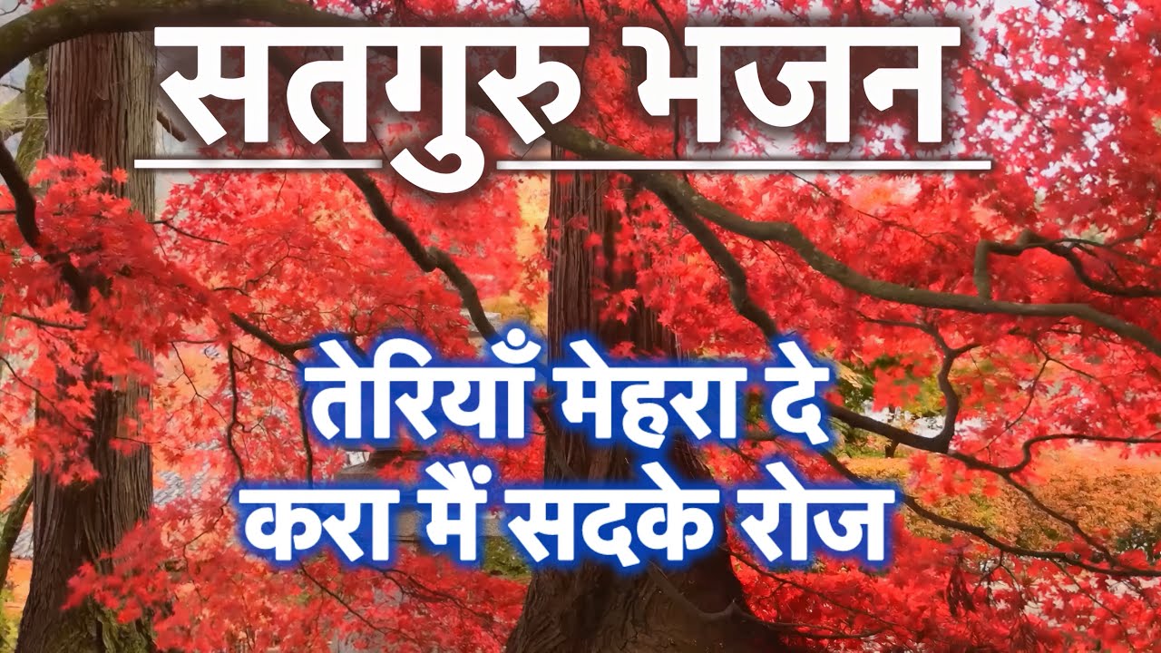Bhajan” तेरियाँ मेहरा दे , करा मैं सदके रोज “ #297 #bhajans #jaisiyaram