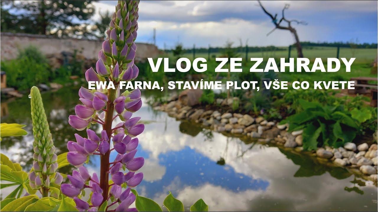 Honzík Lací - Vlog ze zahrady / Ewa Farna, Stavíme plot, Vše co kvete