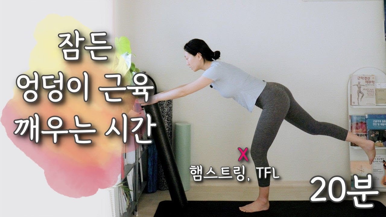 엉덩이 근육 활성화를 위한 운동법 루틴｜둔근 활성화를 위한 운동, 신경계로 풀어보기