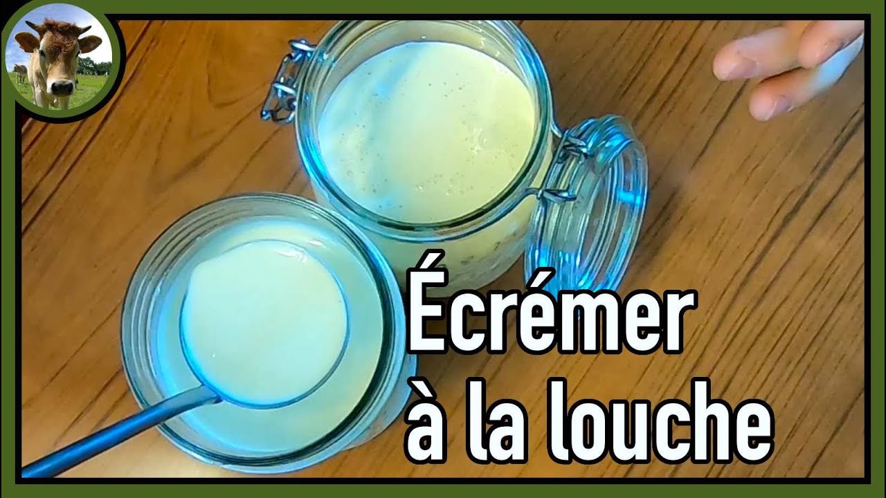 Comment écrémer à la louche le lait cru de vache 🐄 - Technique manuelle sans écrémeuse