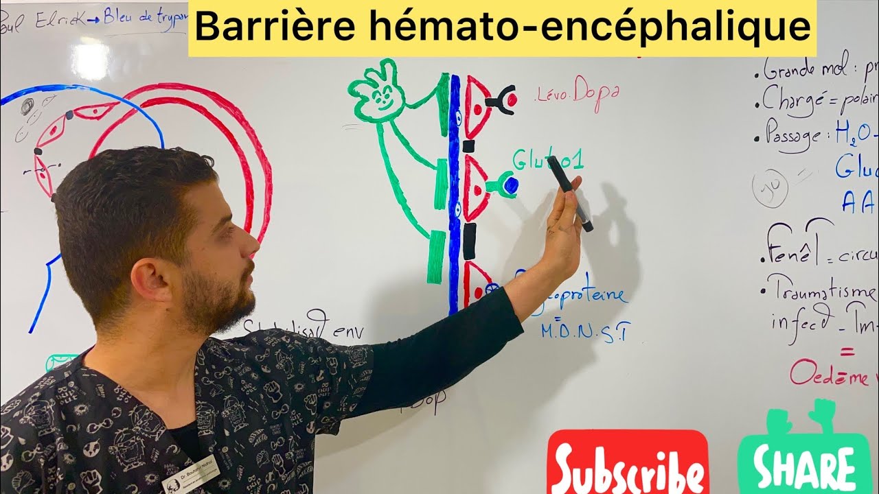Barri&egrave;re h&eacute;mato-enc&eacute;phalique