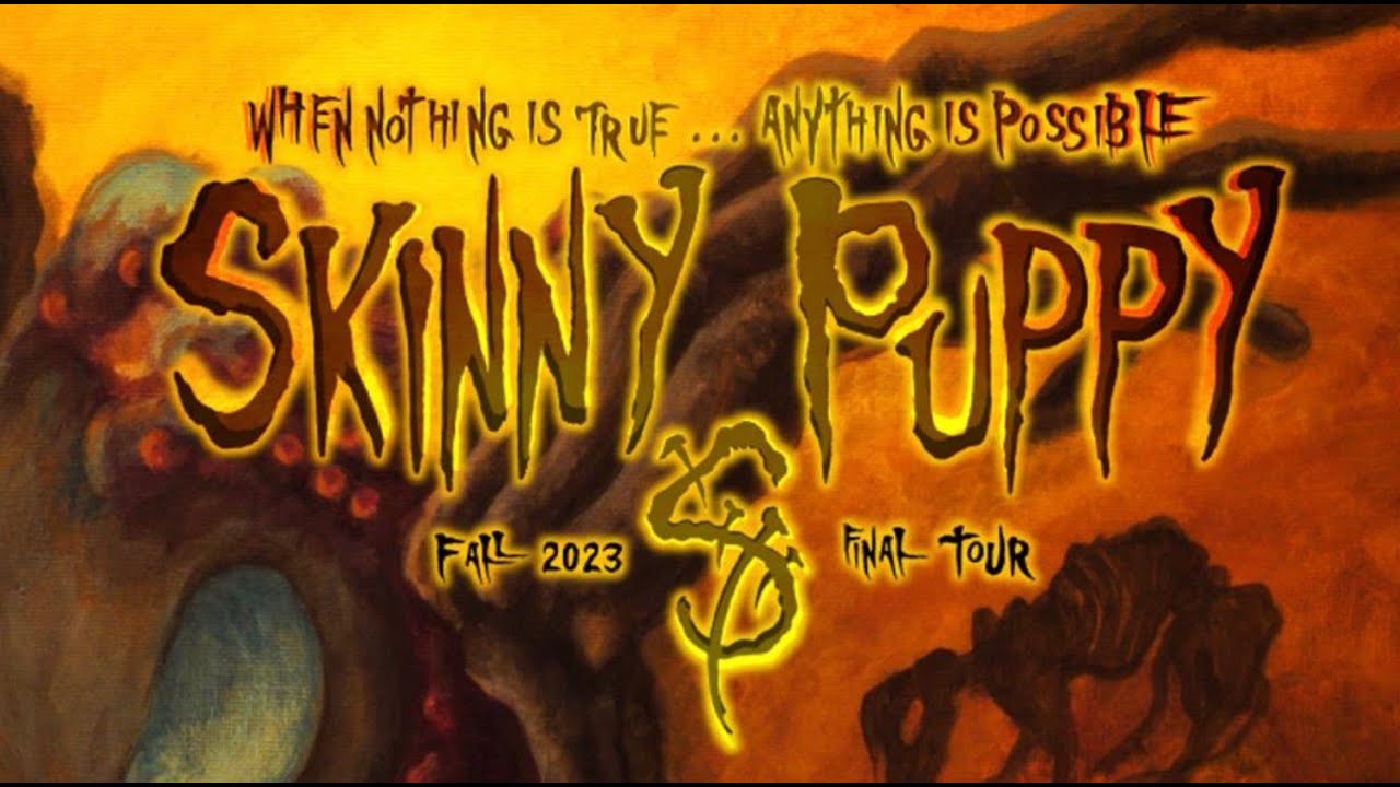 Skinny Puppy 