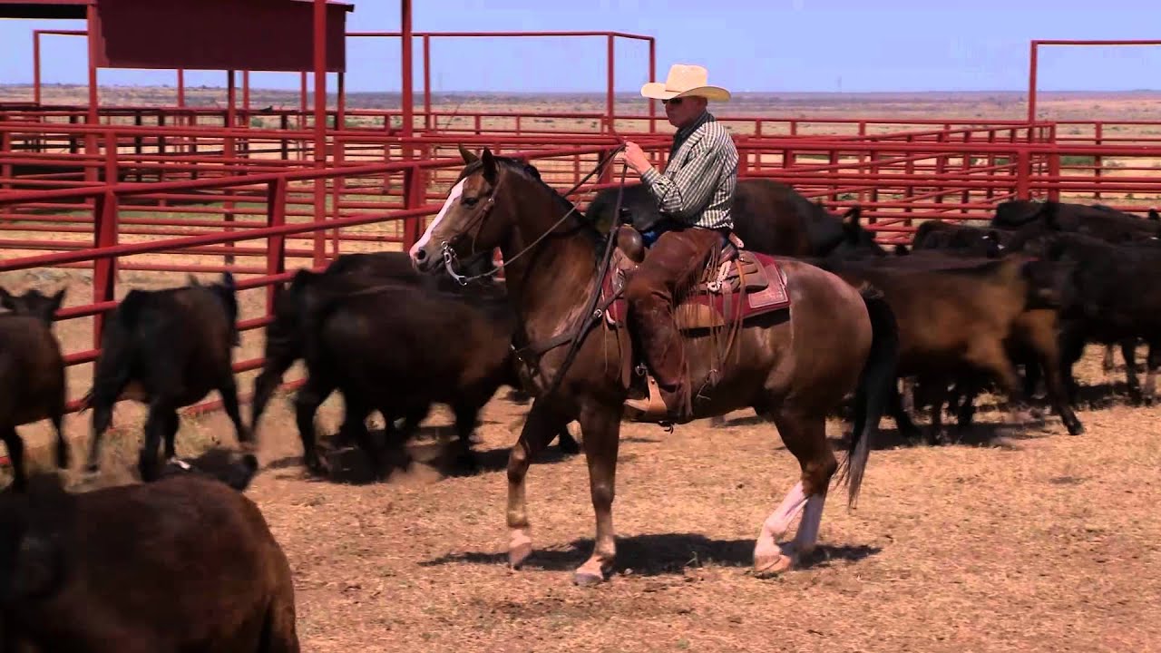 The Ride with Cord McCoy: Joe Howard Williamson