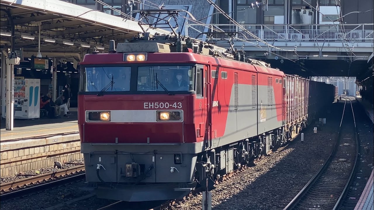 【約1時間10分遅れ】EH500-43金太郎＋コキ20両(3073レ・[仙台A160]・コンテナ輸送)大宮駅10番線通過シーン【JR貨物】2026.2/4
