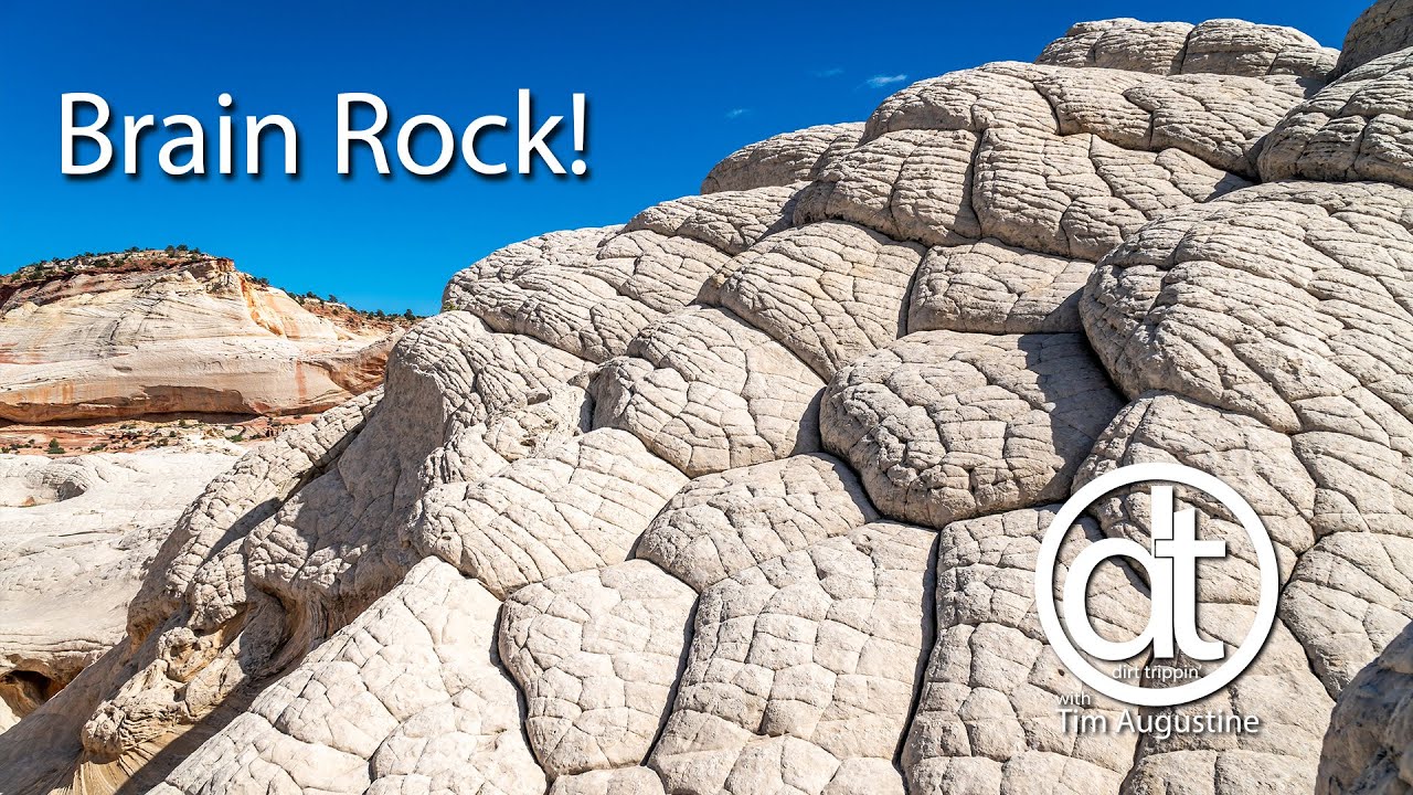 Not the Wave, but it's Close!