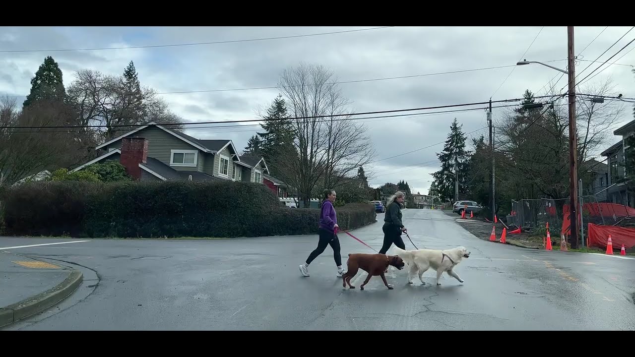 February 1, 2026 drive through downtown Kirkland, WA.