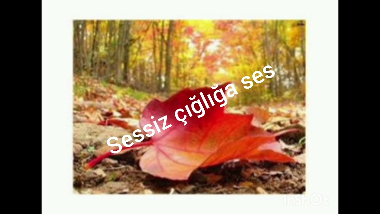 Sessiz çığlığa ses 