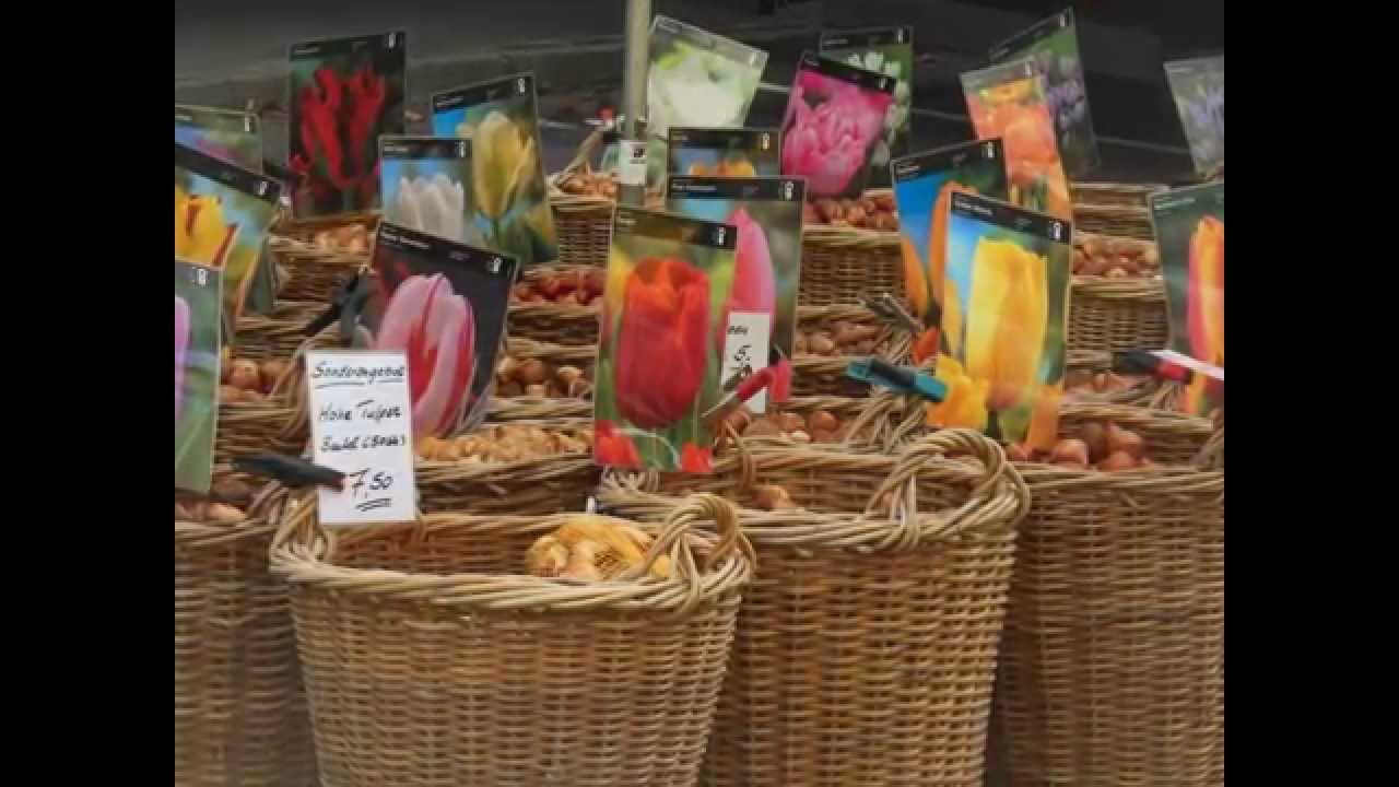 Neuenhainer Herbstmarkt 2015★Autumn market Bad Soden Neuenhain