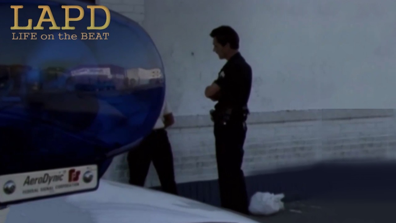 LAPD: Life On The Beat - Season 2 