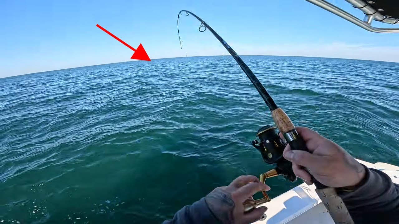 EPIC day of CATCHING!!! Bottom fishing 20 miles offshore off the East coast of Florida
