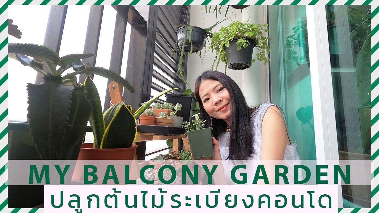 รีวิวสวนระเบียงคอนโด จัดสวนขนาดเล็กปลูกต้นอะไรบ้าง