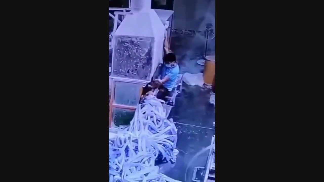 Best Workplace Safety Fails | December 2023 | OSHA Fails | Bad Day | Work Fails VL #101