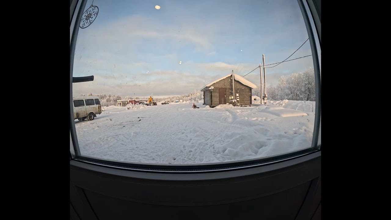 Если дома нет воды...#моржи#отморозок