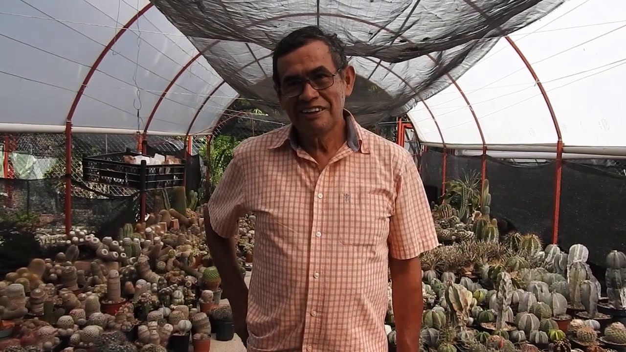 La Fábrica de semillas de Abel Bonfil en Tilzapotla , Morelos, México.