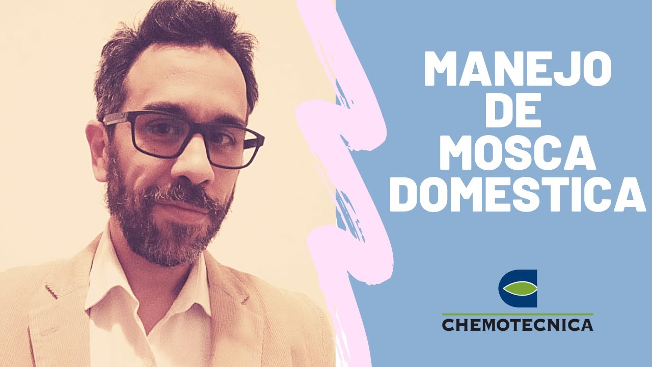 MANEJO INTEGRADO DE MOSCA DOMESTICA: ¿COMO LO HAGO?
