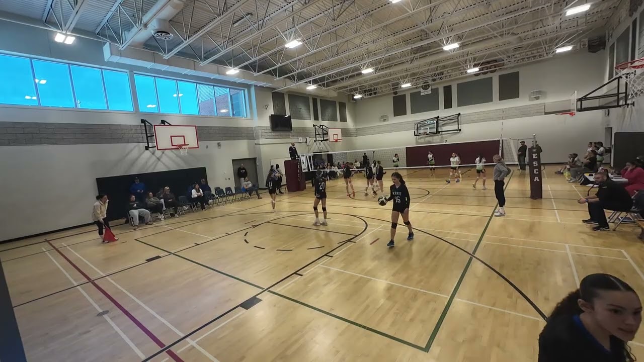 VENOM COPPERHEADS SET 2