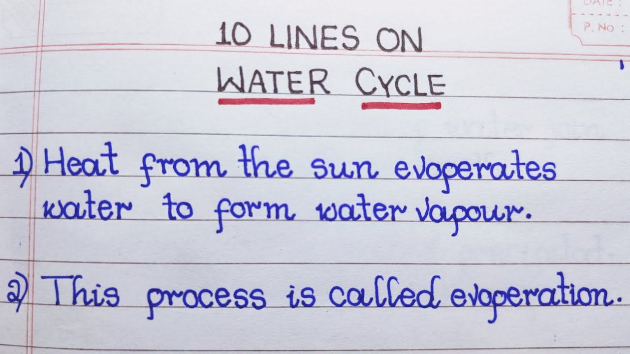 10 Lines on Water cycle in English | Hydrological cycle | Few Lines on Water cycle