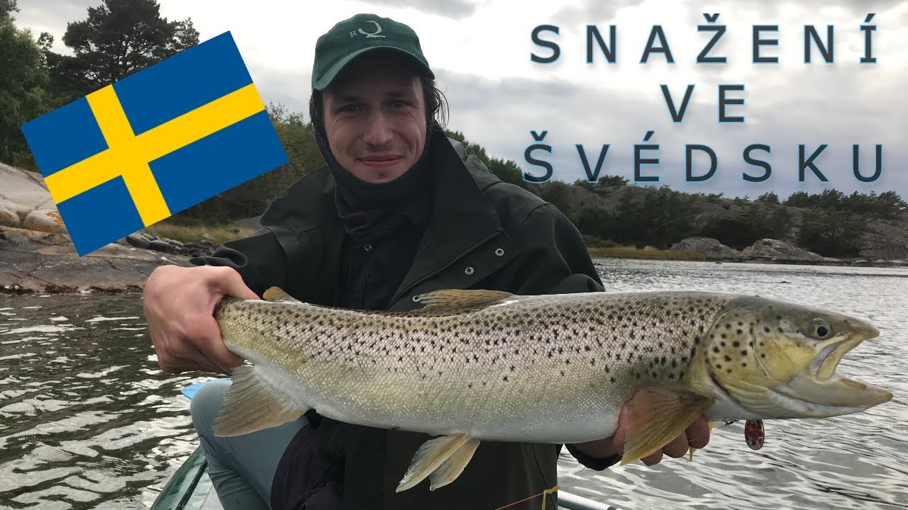 Rybaření ve Švédsku 2021 / Jezera, Řeky, Fjordy / Jak s povolenkou