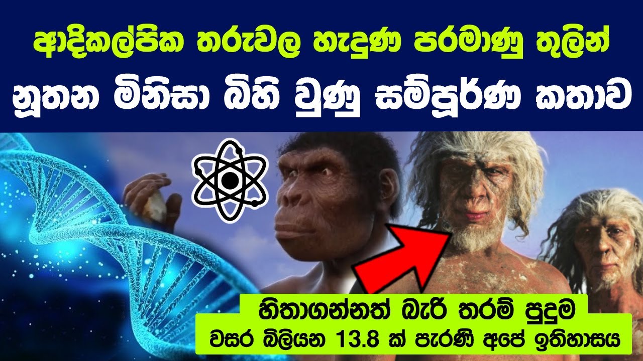 හිතාගන්නත් බැරි තරම් පුදුම, වසර බිලියන 13.8 ක් පැරණි අපේ ඉතිහාසය | Story of the birth of modern man