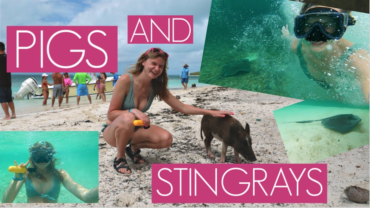 SWIMMING WITH THE PIGS & STINGRAYS // THE BAHAMAS