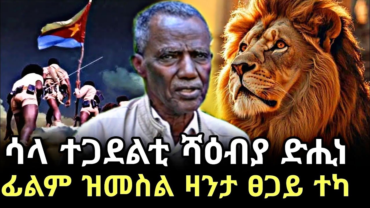 ኣብ ሳሕል ዝረኣኽዎ ነገር ንምግማቱ ከቢድ ነገር እዩ ተጋዳላይ ፀጋይ ተፈሪ ኣብ ዙርያ ርክብ ህወሓትን ህዝባዊ ግምባርን #target_media 