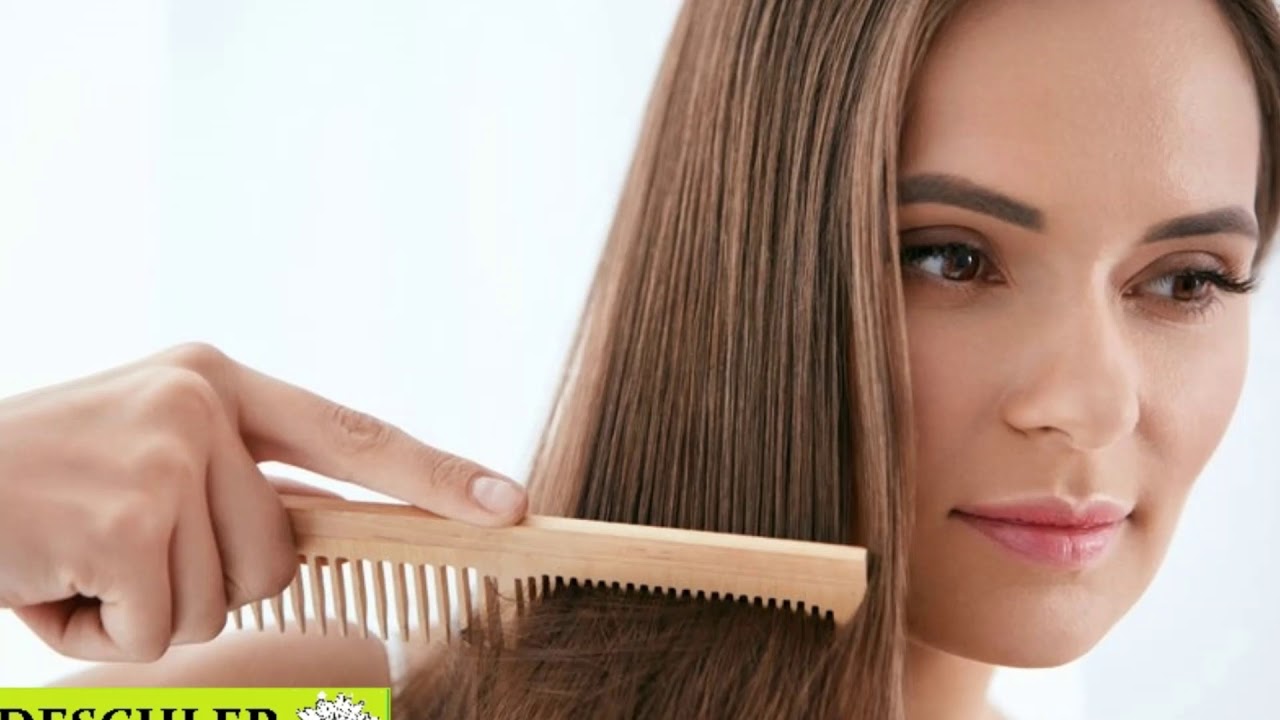 brosses DESCHLER