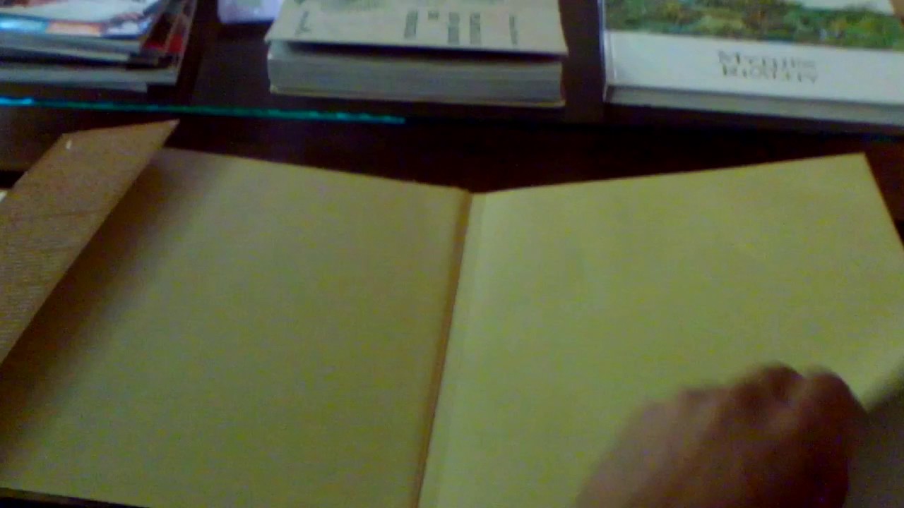 Amo livros